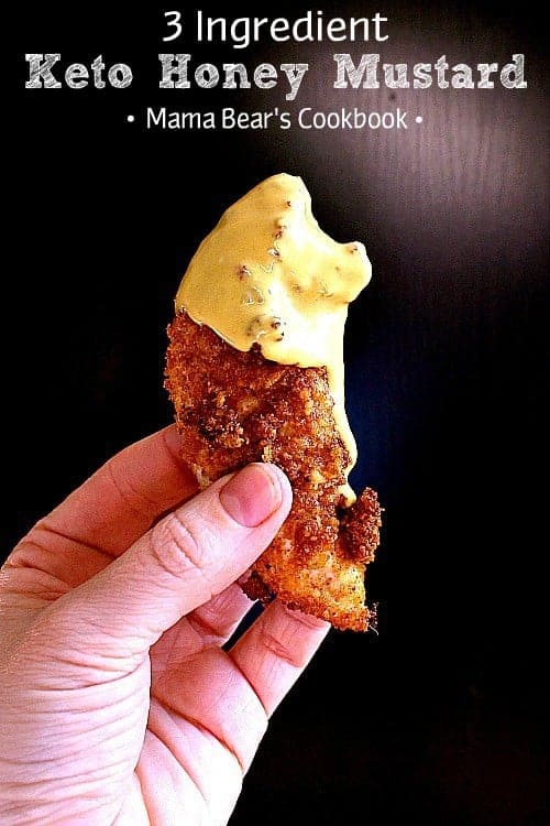 3 Ingredient Keto Honey Mustard Mama Bear's Cookbook