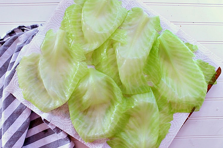Freshly boiled cabbage leaves.