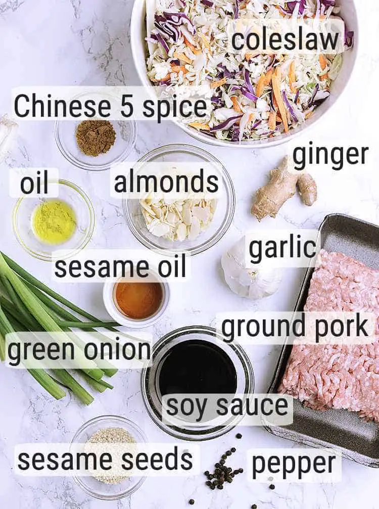 All ingredients used to make Keto Egg Roll in a Bowl.
