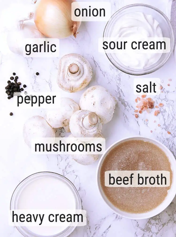 All ingredients used to make Keto Mushroom Sauce.