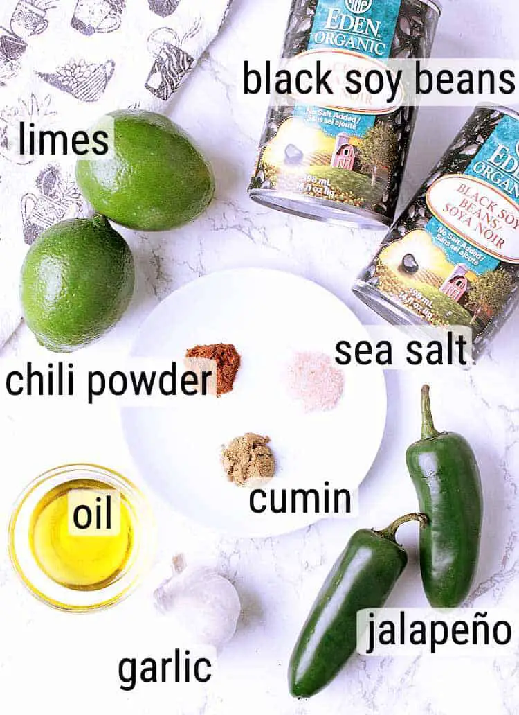 All ingredients used to make low carb refried beans.